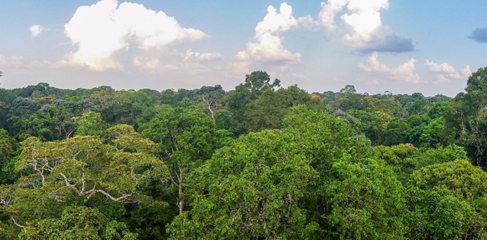 Improve Management of the Bossématié Nature Reserve • unique land use